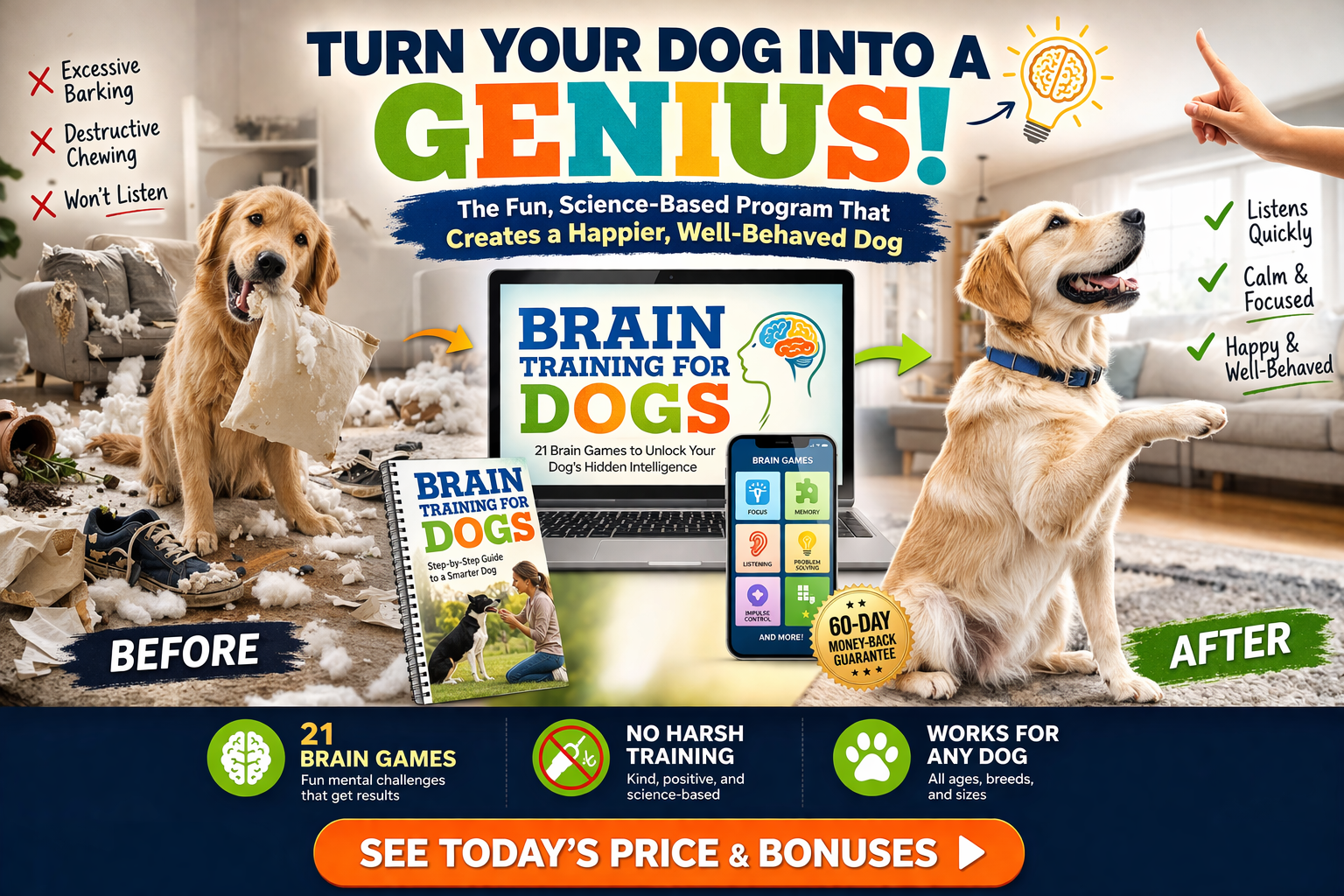 Dog behavior transformation before and after