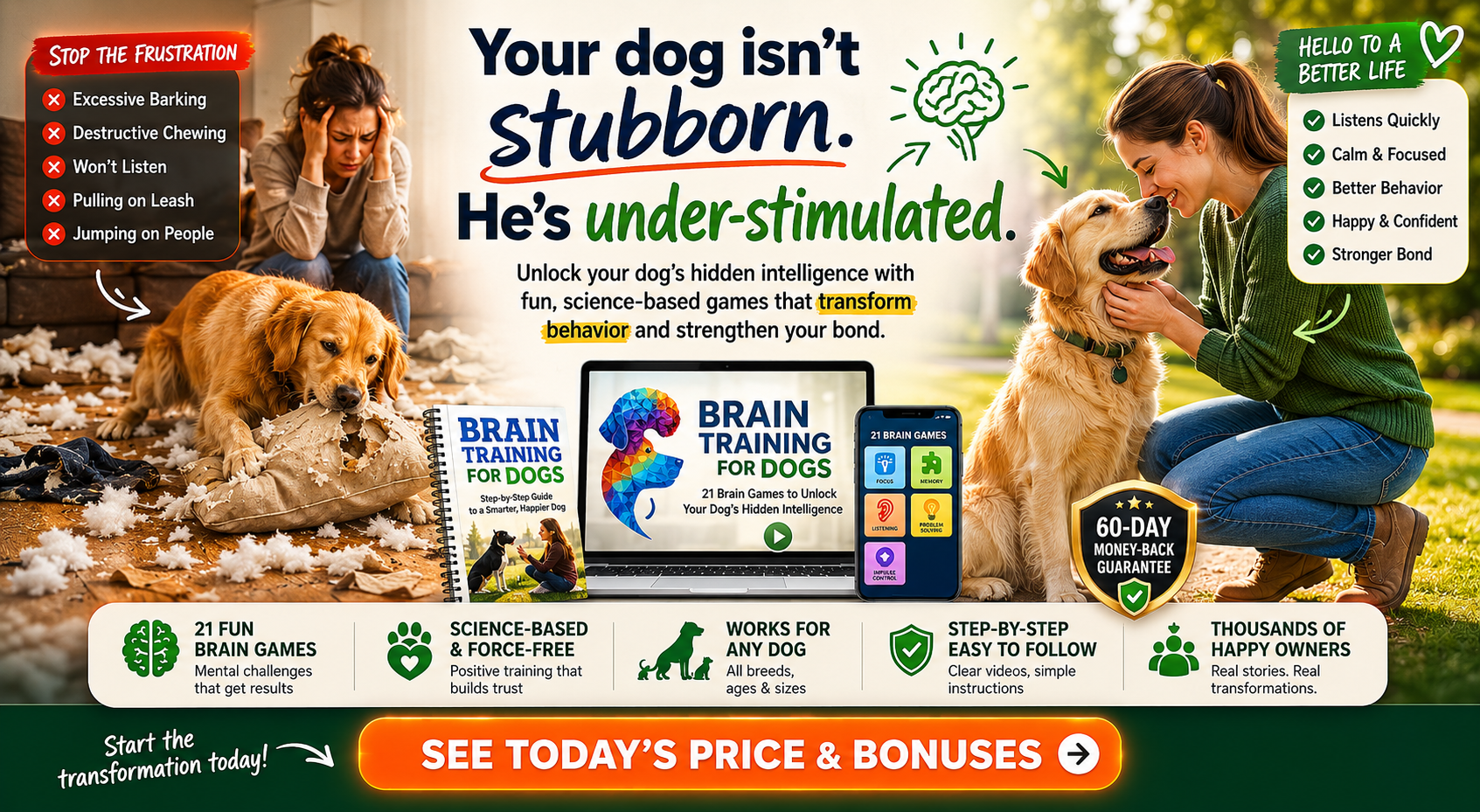 Brain Training for Dogs